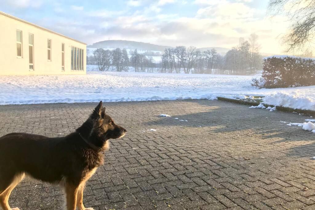 Ferienhaus Talblick Alpenrod المظهر الخارجي الصورة